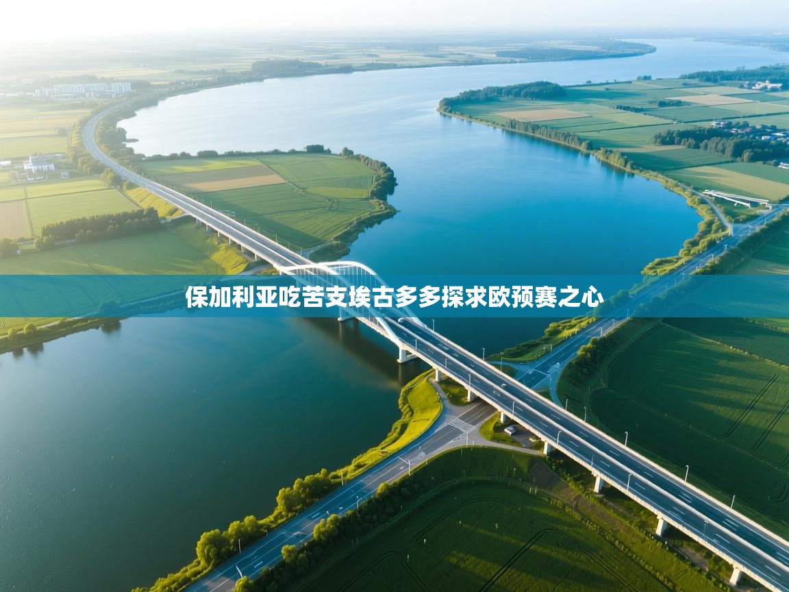 保加利亚吃苦支埃古多多探求欧预赛之心 第2张